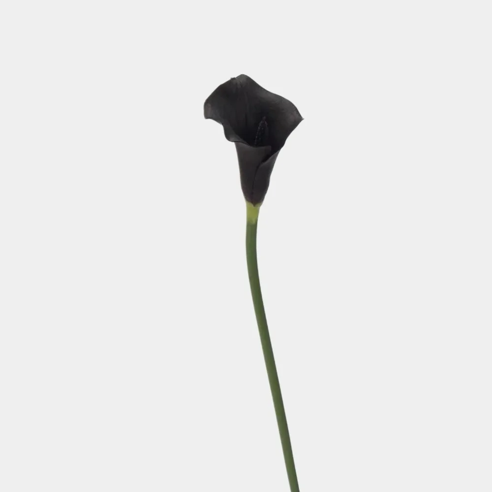 Bundle Of 3 Black Real Touch Faux Calla Lily Stem - 25